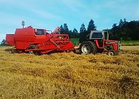 Massey Ferguson 240 Massey Ferguson 240