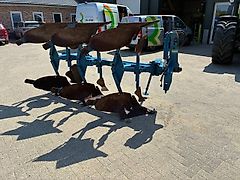 Rabe Specht 110