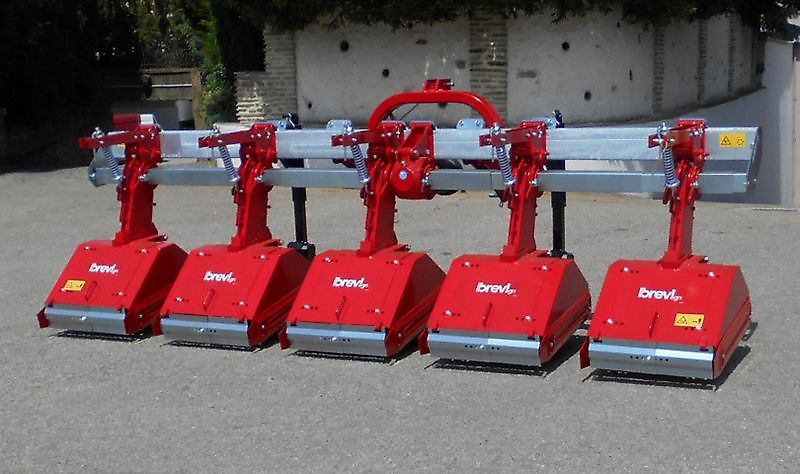 Breviglieri Reihenfräse