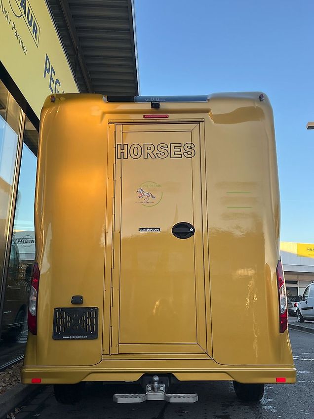 Renault Master JL 2 Pferdetransporter Vollalu 3,5t 1.Hnd
