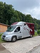 Peugeot Pferdetransporter