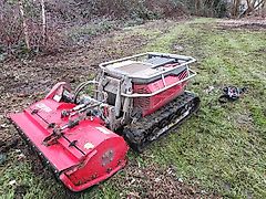 Timan Mähraupe Mulchraupe Böschungsmäher Mieten Vermietung